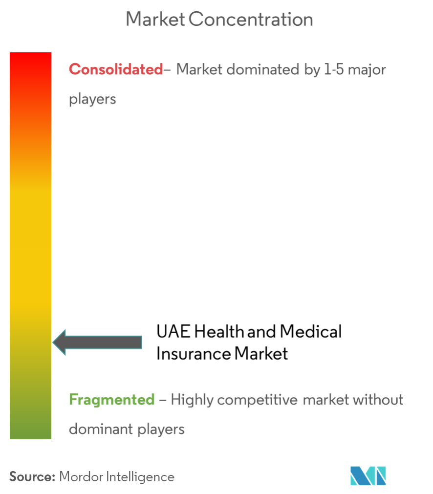 UAE Health and Medical Market Concentration